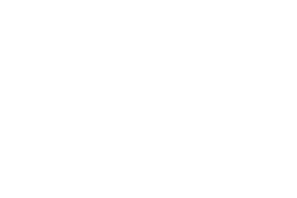 maler gipser