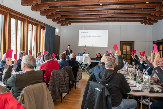 luzerner maler gv 0855